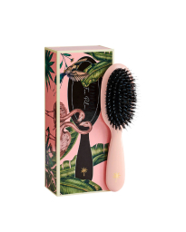 Fan Palm - HAIR BRUSH SMALL