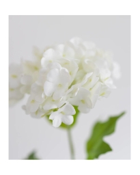 Bloom Object - KUNSTIG HORTENSIA TRIO HVID 